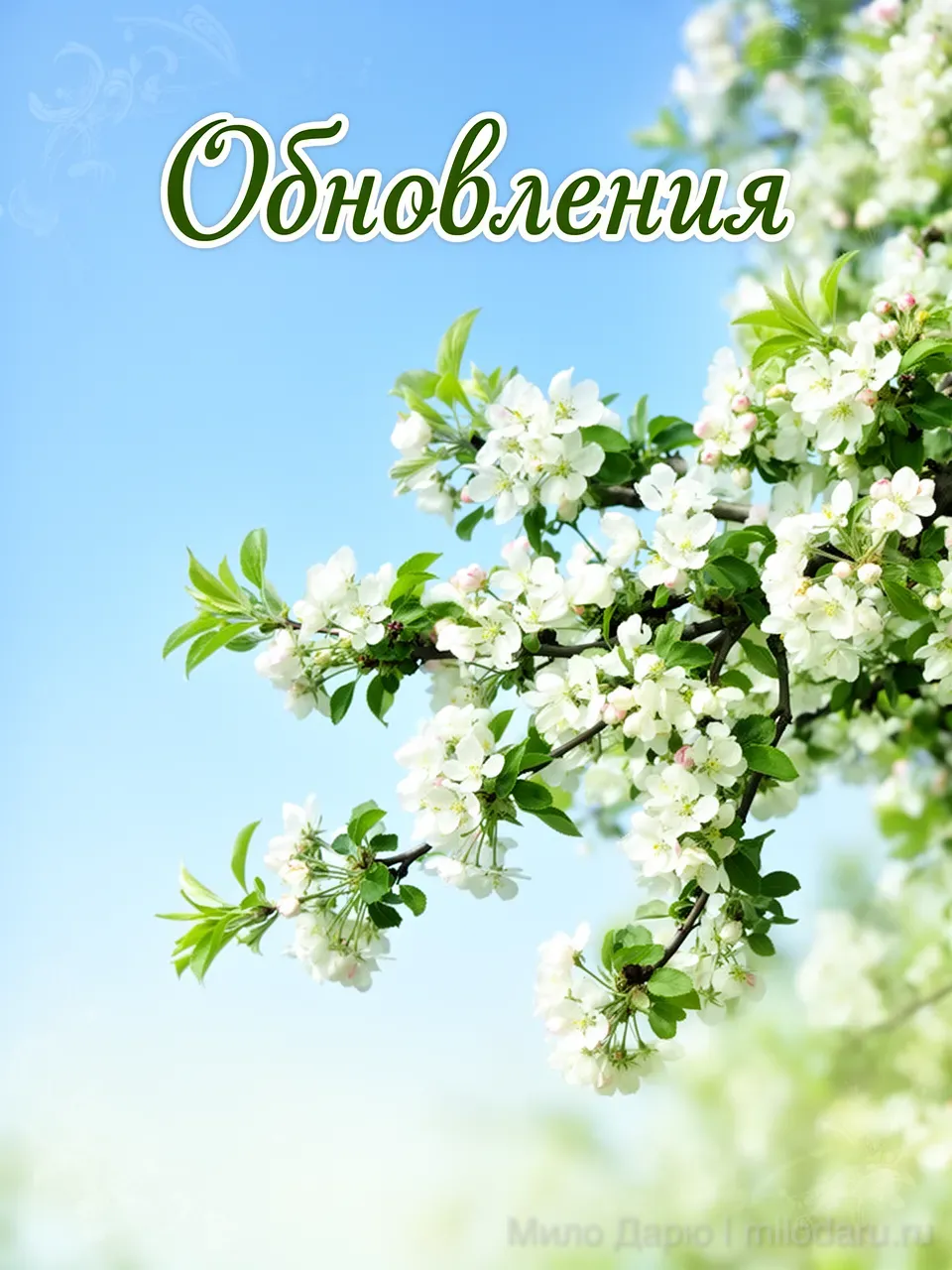 Обновления!